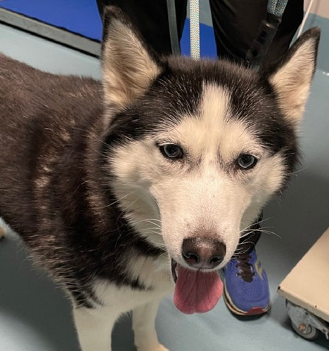 G eOg KXIAAg06F?format=jpg.jpg