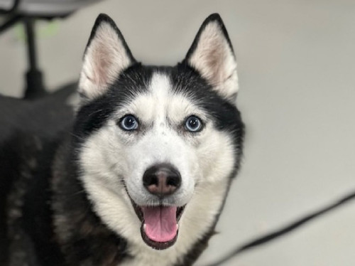 G eOg W8AAucqh?format=jpg.jpg