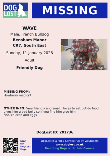 G tK3tmWIAAUiVF?format=png.png