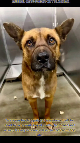 uF y BO9EVRyAvDI.jpg