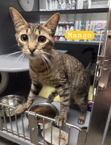 G wT0VOWoAAr7V ?format=jpg.jpg