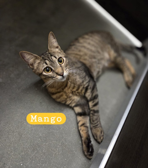 G wT0VNXIAAAKvl?format=jpg.jpg