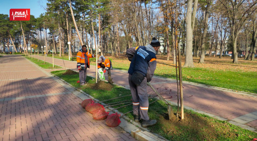 COVER ZA VESTI (10).jpg