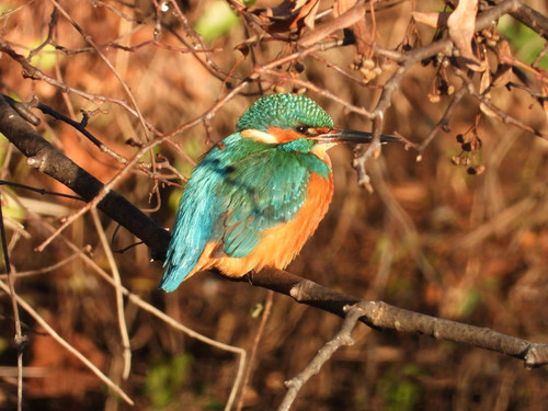 G xdEYWa8AESdB4?format=jpg.jpg