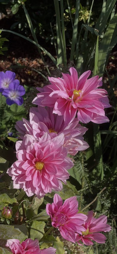 G xN5MGWQAAJ1rQ?format=jpg.jpg