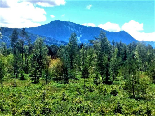 G yMeUoagAAbyOe?format=jpg.jpg