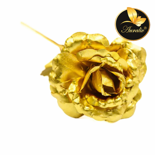 Trandafir galben 5.png