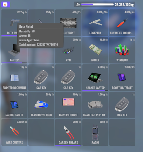 FiveM GTAProcess iZZZtmuqNX.png