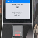 FiveM GTAProcess PlvKCjrjp6.png