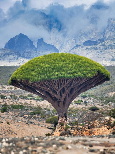 G tl9zvXIAAwrvF?format=jpg.jpg