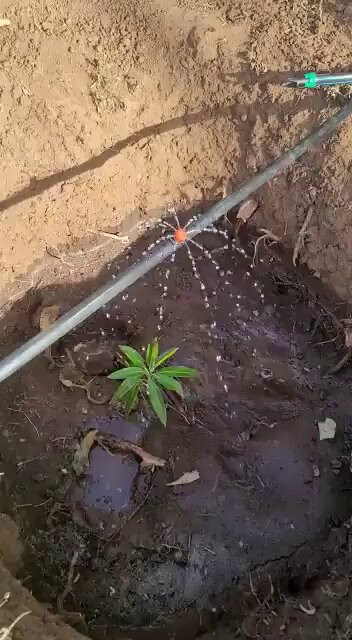 7i2b KsMDSSMsVTv.jpg