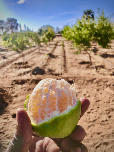 G sZFQNacAA7OOF?format=jpg.jpg