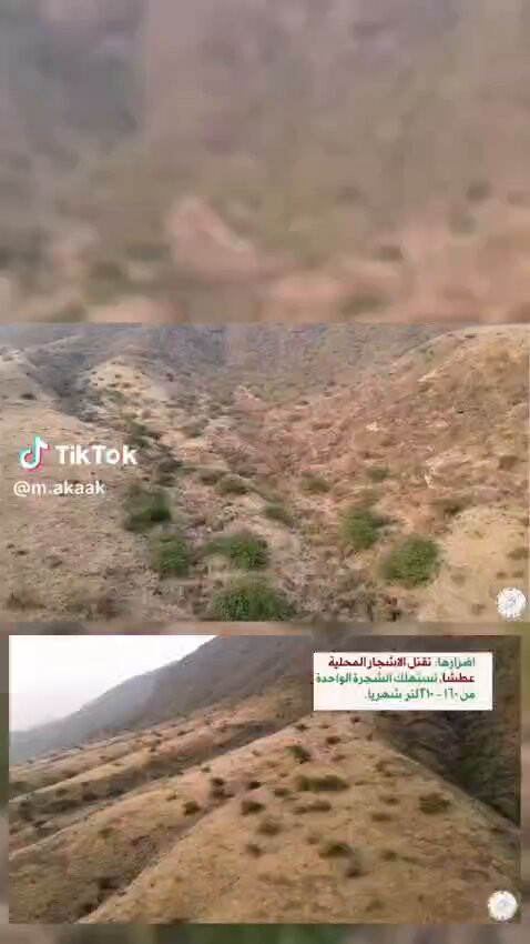 KU9sJXoX ZJ2g2ql.jpg