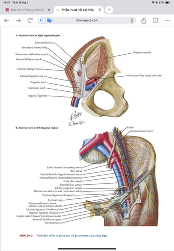 images%2Fimage 1768574823740.png