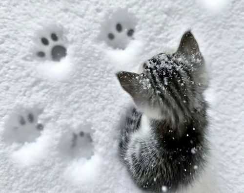 Screenshot 2026 01 16 22 38 34 488 com.xingin.xhs edit.jpg