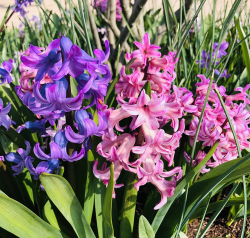 G xKjvlXEAArP 2?format=jpg.jpg