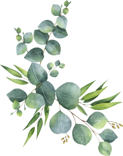 pngfind.com branch with leaves png 5159218.png