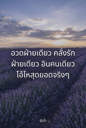 b73d3b14a1ee.jpg