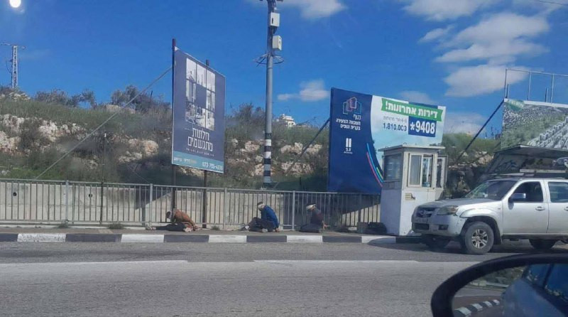 صورة| قوات الاحتلال تحتجز شباناً وتنكل بهم بين بلدتي بديا وحارس غرب سلفيت....