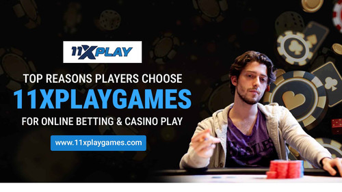 Top Reasons Players Choose 11Xplaygames for Online Betting & Casino Play 11zon.jpg