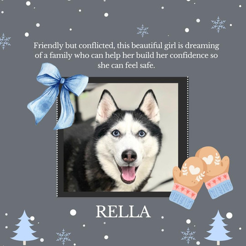 G L56vAa0AA3v6m?format=jpg.jpg