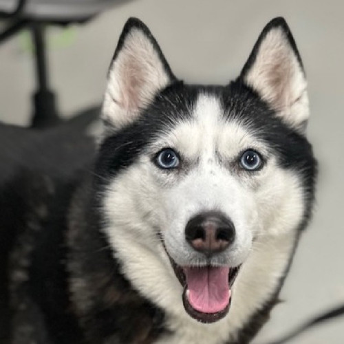 G PeEI8XYAAWy4W?format=jpg.jpg