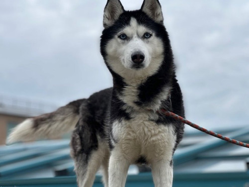 G pxaqCbQAYjQnV?format=jpg.jpg