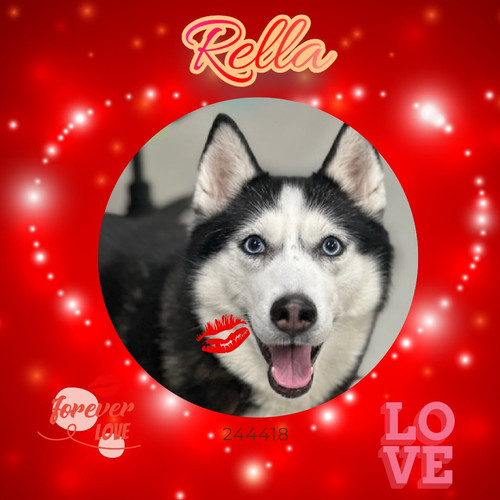 G Pd6LnWAAAIohH?format=jpg.jpg