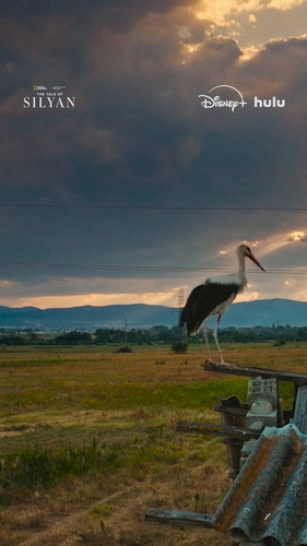 6RgN XuF9JA 7mg5.jpg