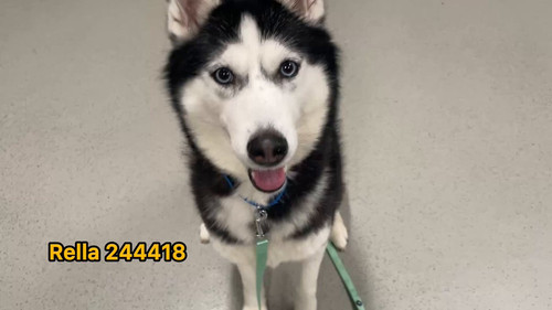 FPL6JJ fwyk60CvV.jpg