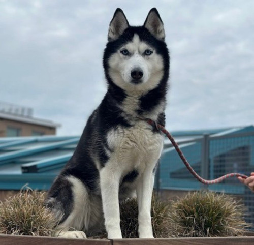 G pxdDEbQAIh983?format=jpg.jpg