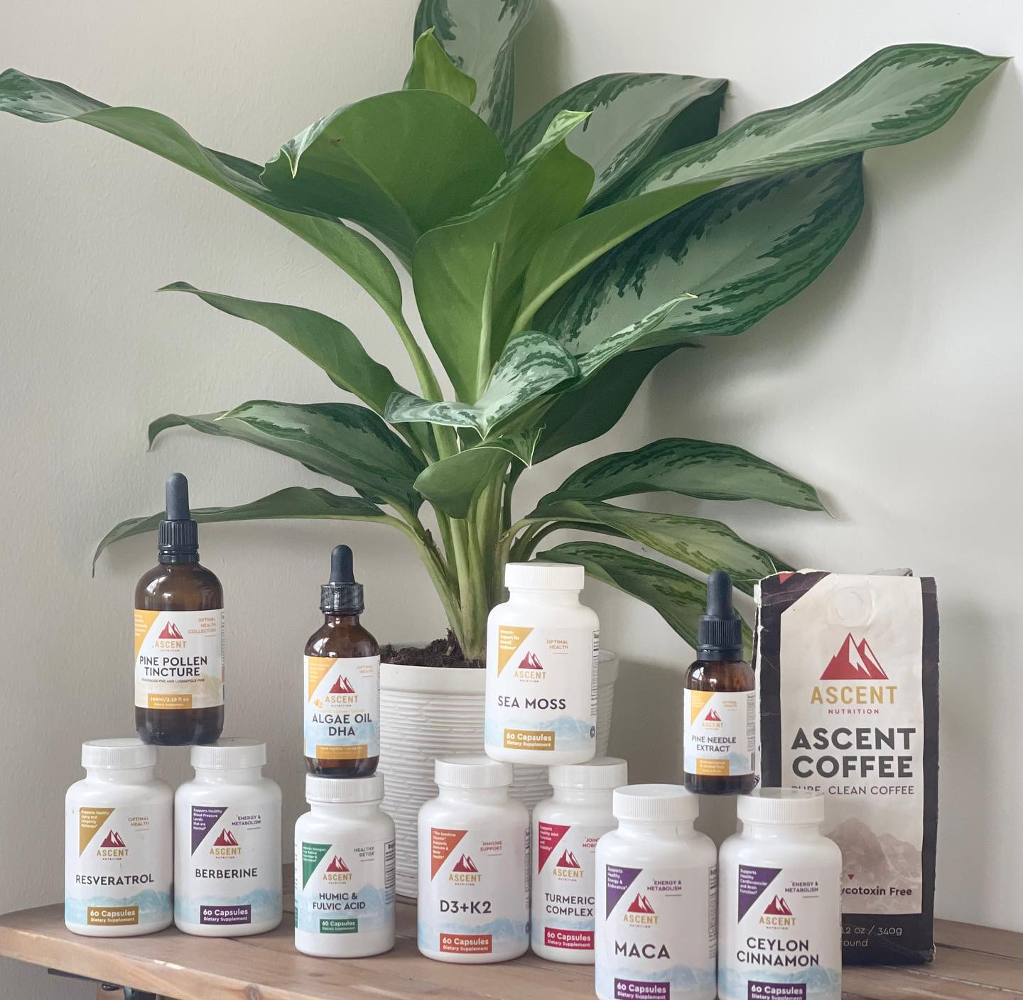 Ascent Nutrition Review 2026 – Unlocking Peak Performance with Nature’s Purest Nutrients