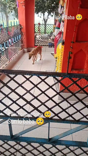 epU34tSx3WFyLBn .jpg