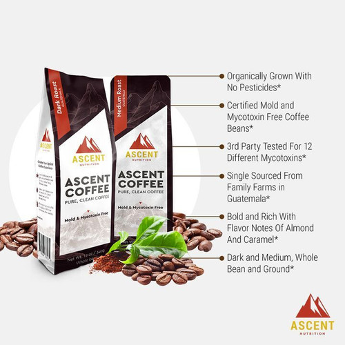 484503522 1379861269918790 6804666843670584692 n.jpg