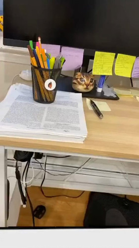 aCOvD7Pa NJgQ9Lp.jpg