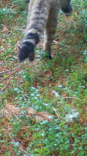 hxX4M9hwu5 PTzqY.jpg