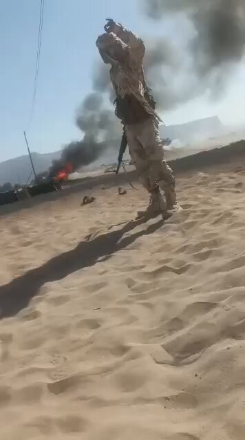 FyXjYTiLe ZLaibp.jpg