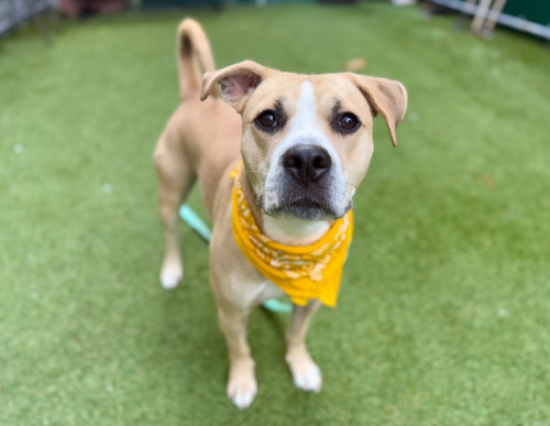 G RQA8DaMAAL0N3?format=jpg.jpg