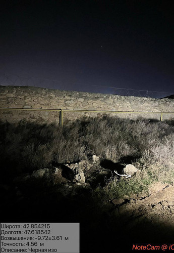 photo 1 2026 01 16 03 36 27.jpg