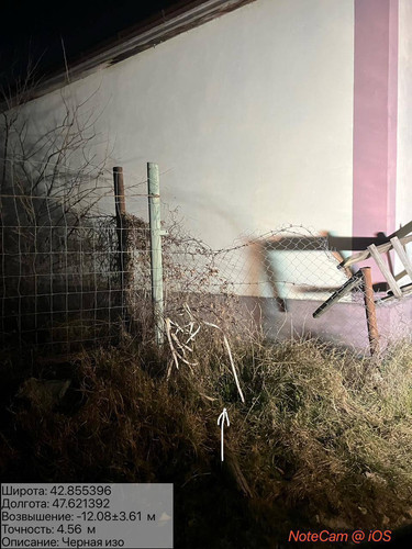 photo 5 2026 01 16 03 36 27.jpg