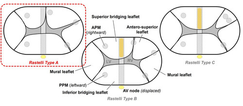 G tzY1WbMAAG7hY?format=jpg.jpg