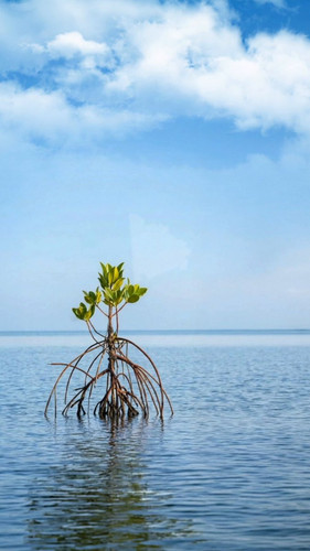 F j7X2 CKFGK3vOV.jpg