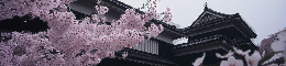 New Project 2026 01 15T181655.533.png
