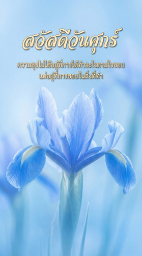 uc?id=1udll1 E2rt7xvYgwjYhkVCv8SAQiFjo7&export=download.jpg