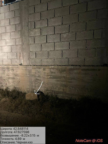 photo 31 2026 01 16 03 36 27.jpg