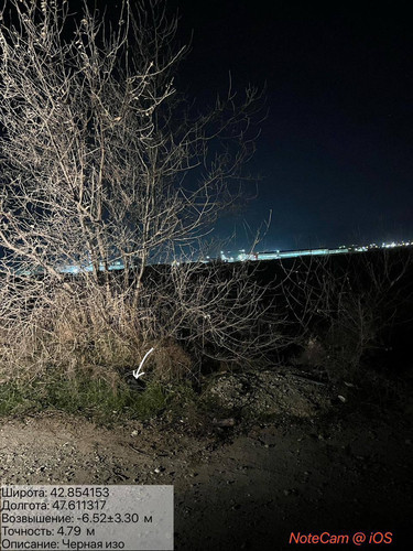 photo 24 2026 01 16 03 36 27.jpg