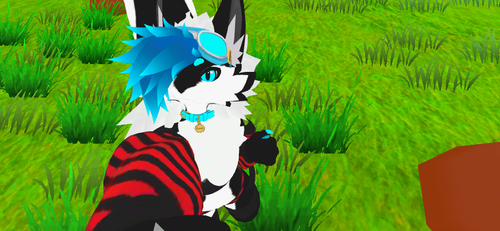 imagen.png