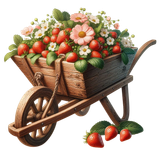 Strawberrylicious wheelbarrow