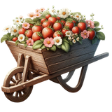 Strawberrylicious wheelbarrow2