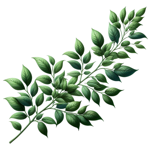Strawberrylicious branch.png